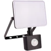 ABFLFNW-20W-PIR