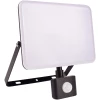 ABFLFNW-50W-PIR