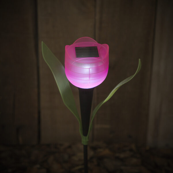 LED-es szolár tulipánlámpa  11703 Szolárok