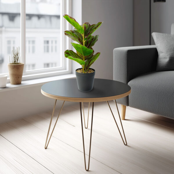 Műnövény dekoráció – zebralevél – zöld/fekete – 34 x 9 cm  11896B Háztartási kisgépek