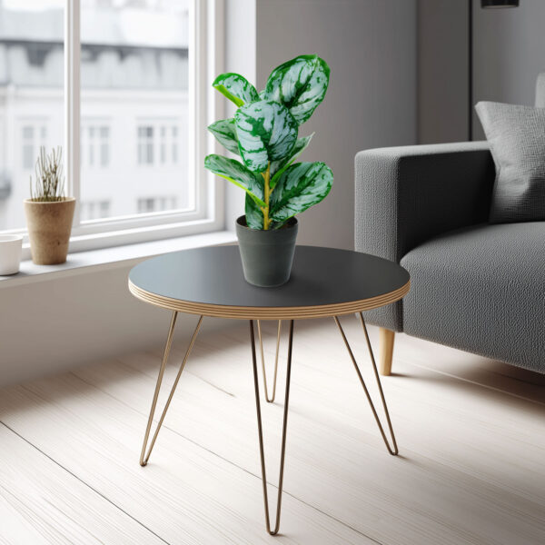 Műnövény dekoráció – zebralevél – zöld/fehér – 34 x 9 cm  11896C Háztartási kisgépek