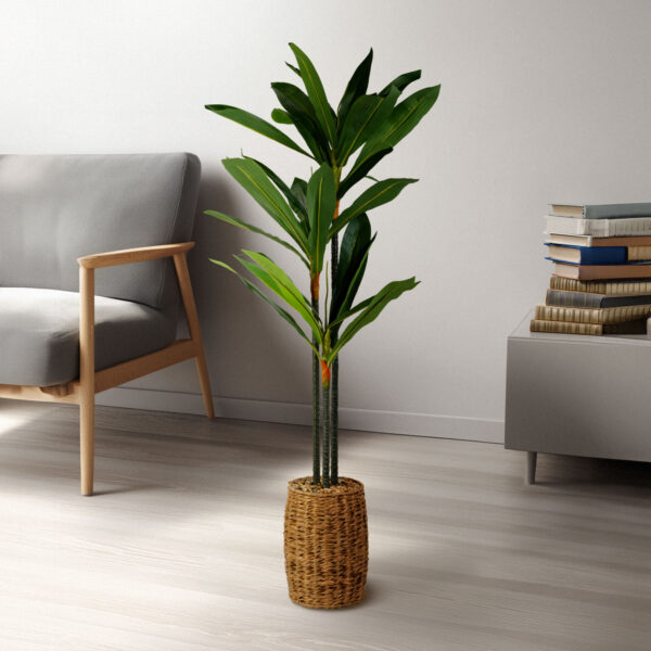 Műnövény dekoráció – Dracaena Fragrans – 1,1-1,2 m  11906 Háztartási kisgépek