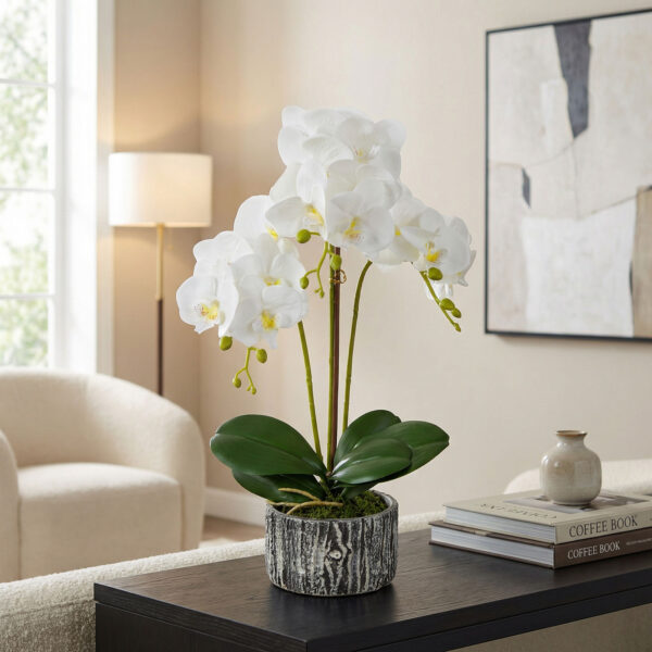 Műnövény dekoráció – orchidea – 2 féle – 53 cm  11917 Háztartási kisgépek