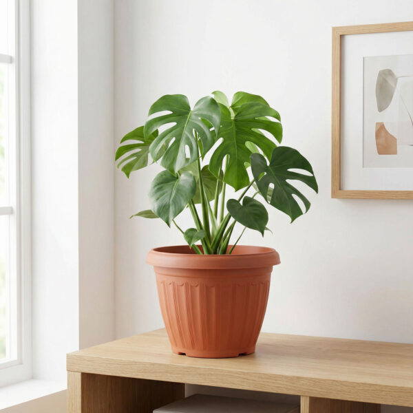 Műanyag virágcserép – terrakotta – 25 cm  11992 Dekoráció