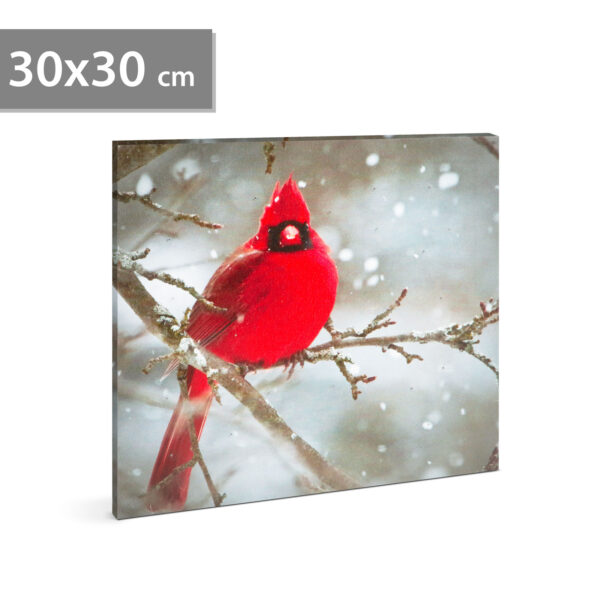 LED-es fali kép – vörös pinty – 30 x 30 cm  58478 Egyéb