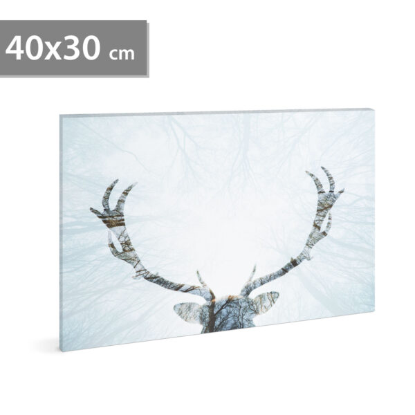 LED-es fali hangulatkép – rénszarvas –  2 x AA, 40 x 30 cm  58481A Egyéb
