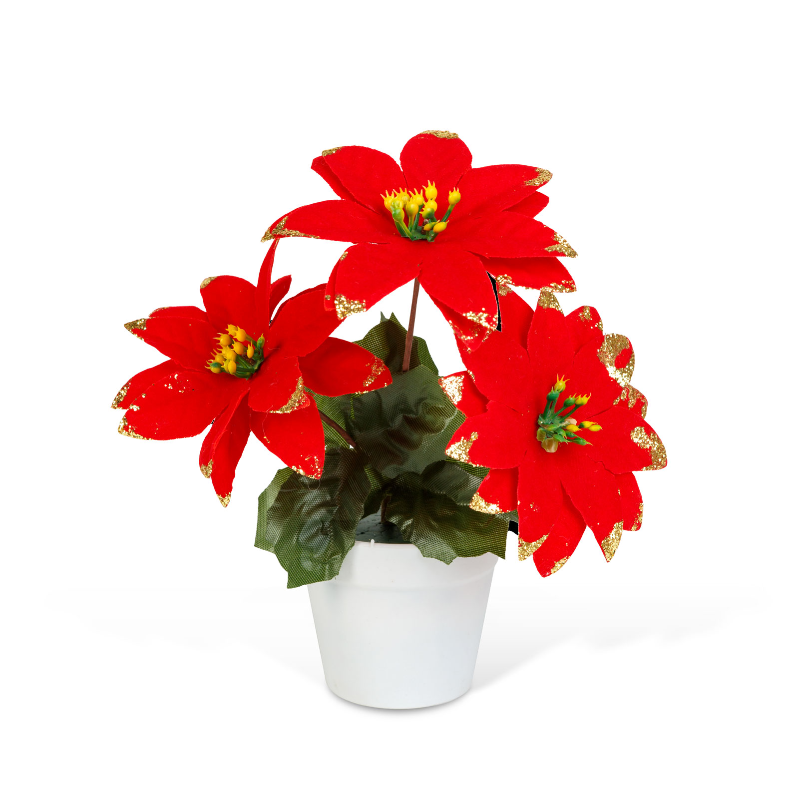 Mikulásvirág kaspóban – piros – 18 cm 58856 Dekoráció Mikulásvirág kaspóban – piros – 18 cm 58856 Dekoráció