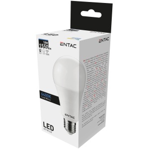 Entac LED Globe E27 18W CW 6400K Gömb